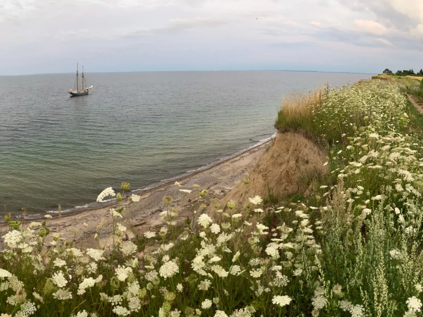 Wohnung Haus mit Herz in Brodersby-Schönhagen-Buiten