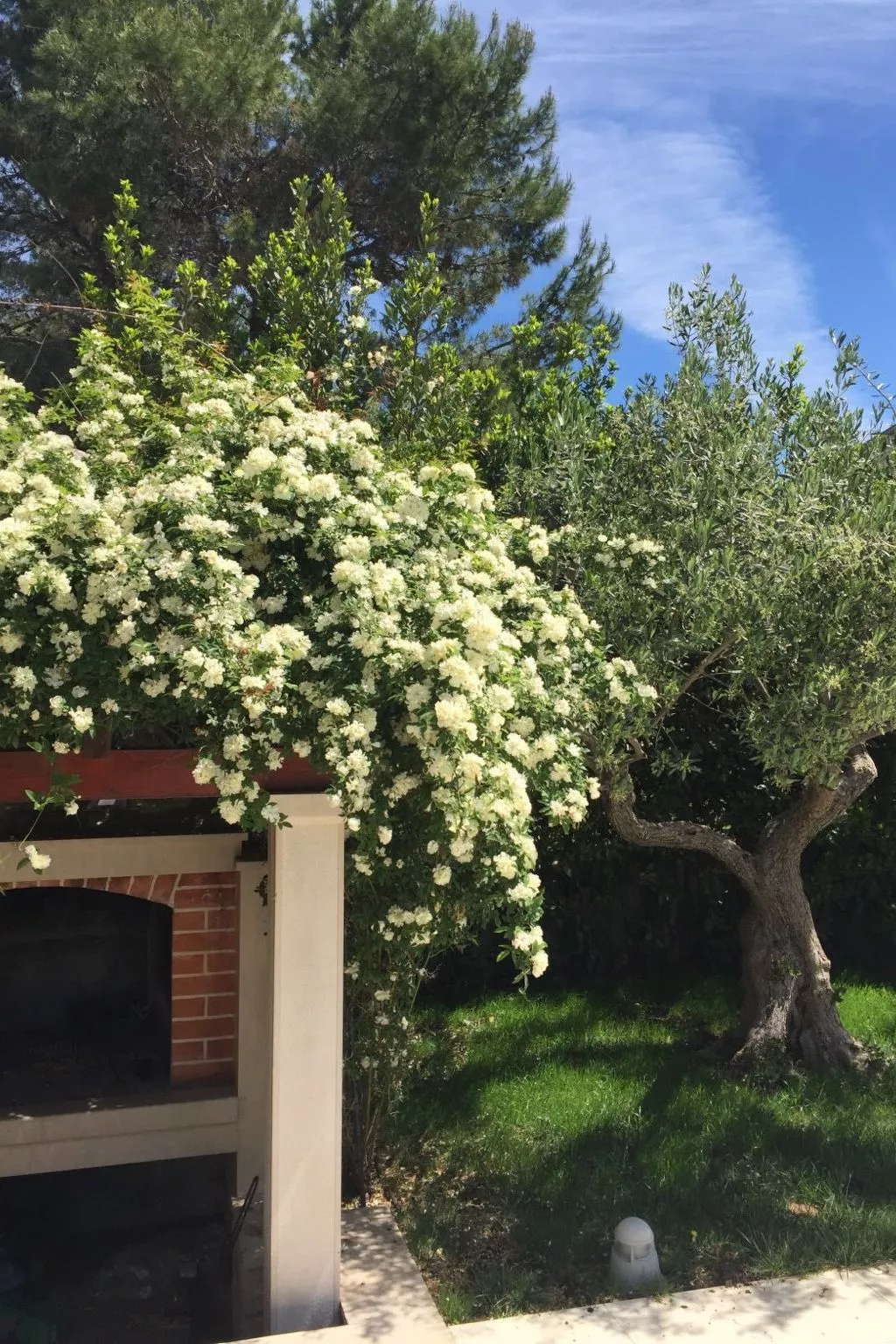 In der ersten Etage mit Meerblick-Image-tags.info