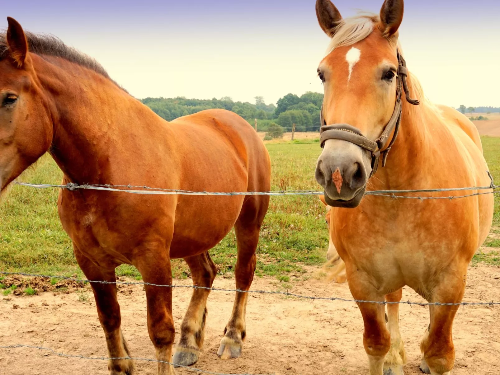 "Verano" mit Privatparkplatz