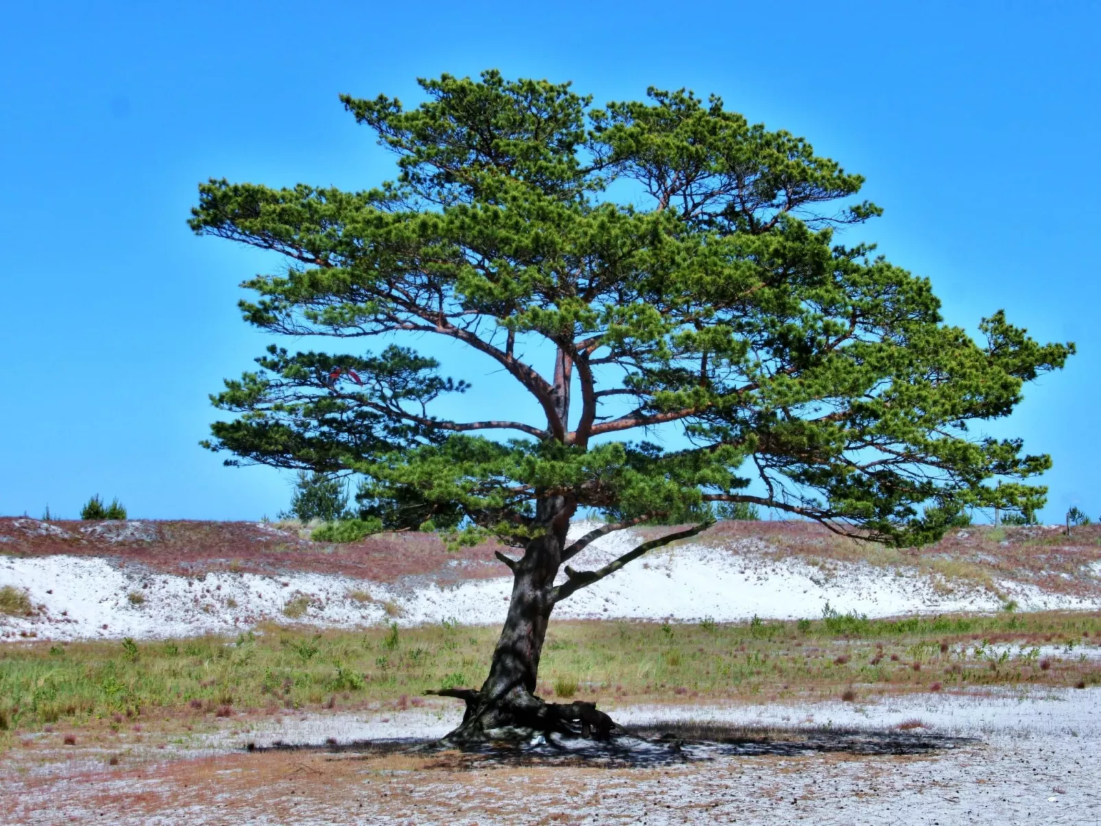 Strandnahe Wohnung mit Terrasse und Parkplatz