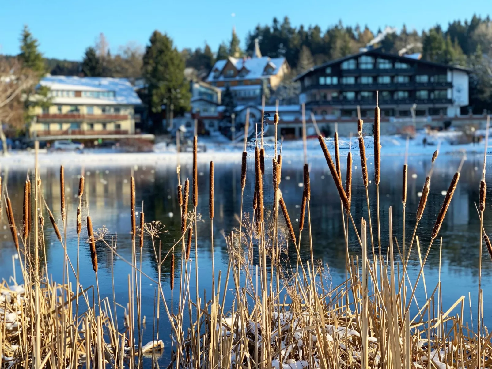 Ferienwohnung mit Infrarotwärmekabine-Buiten
