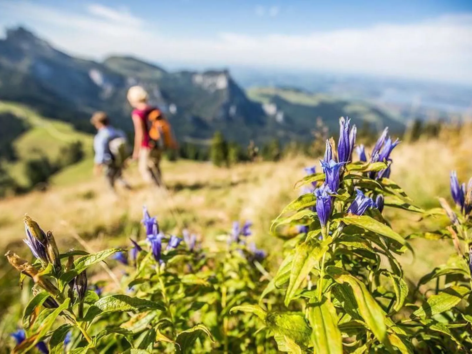 Martina-Image-tags.info