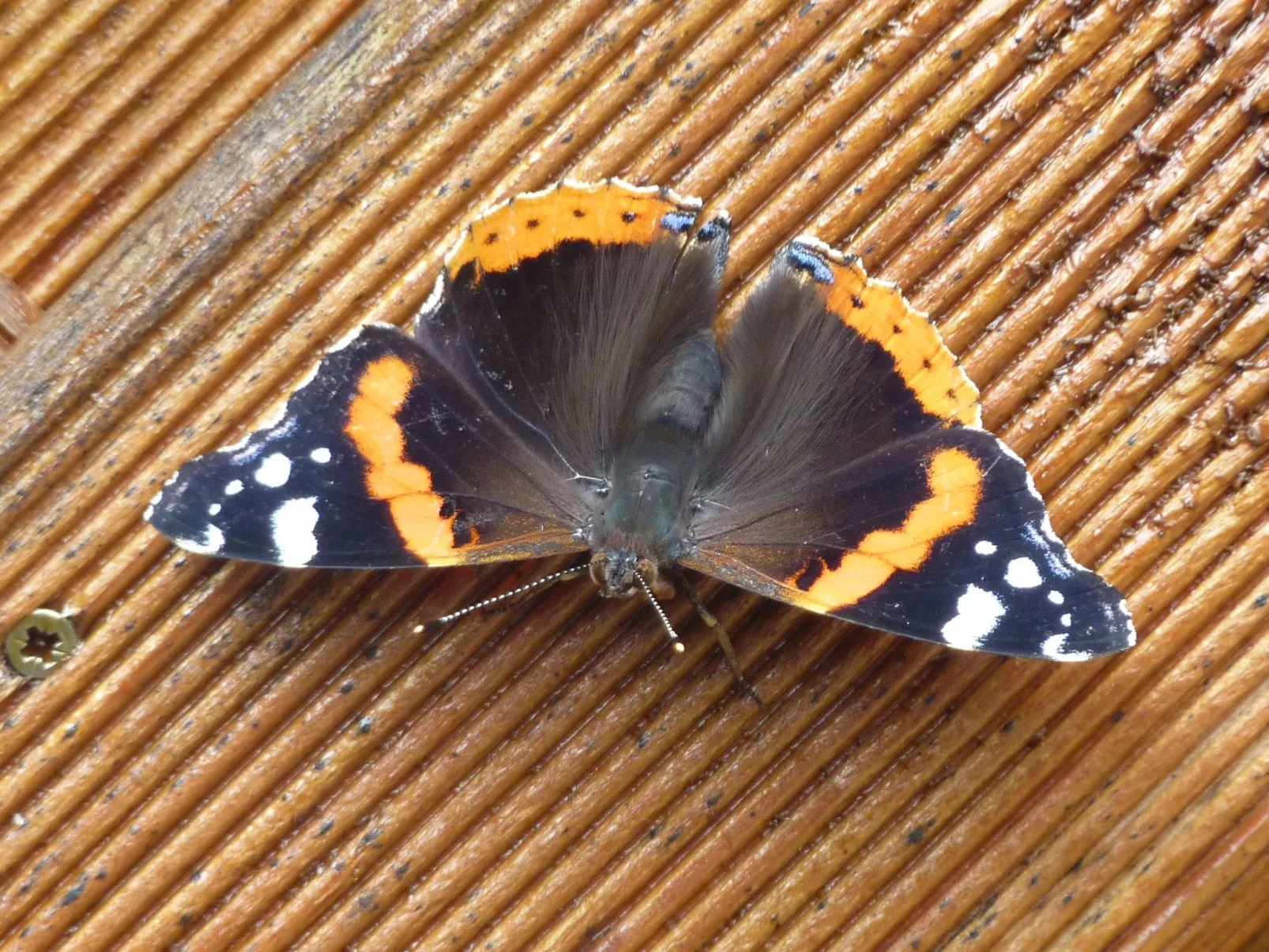 Diemelsee-Image-tags.info