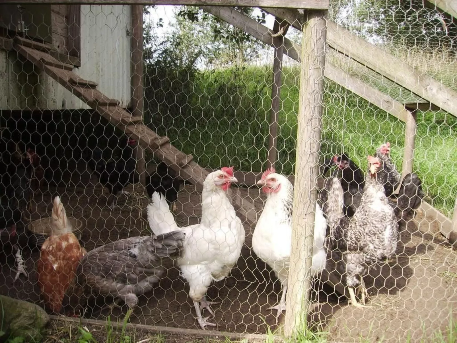 Hof Rodenkrog Fewo 1-Buiten