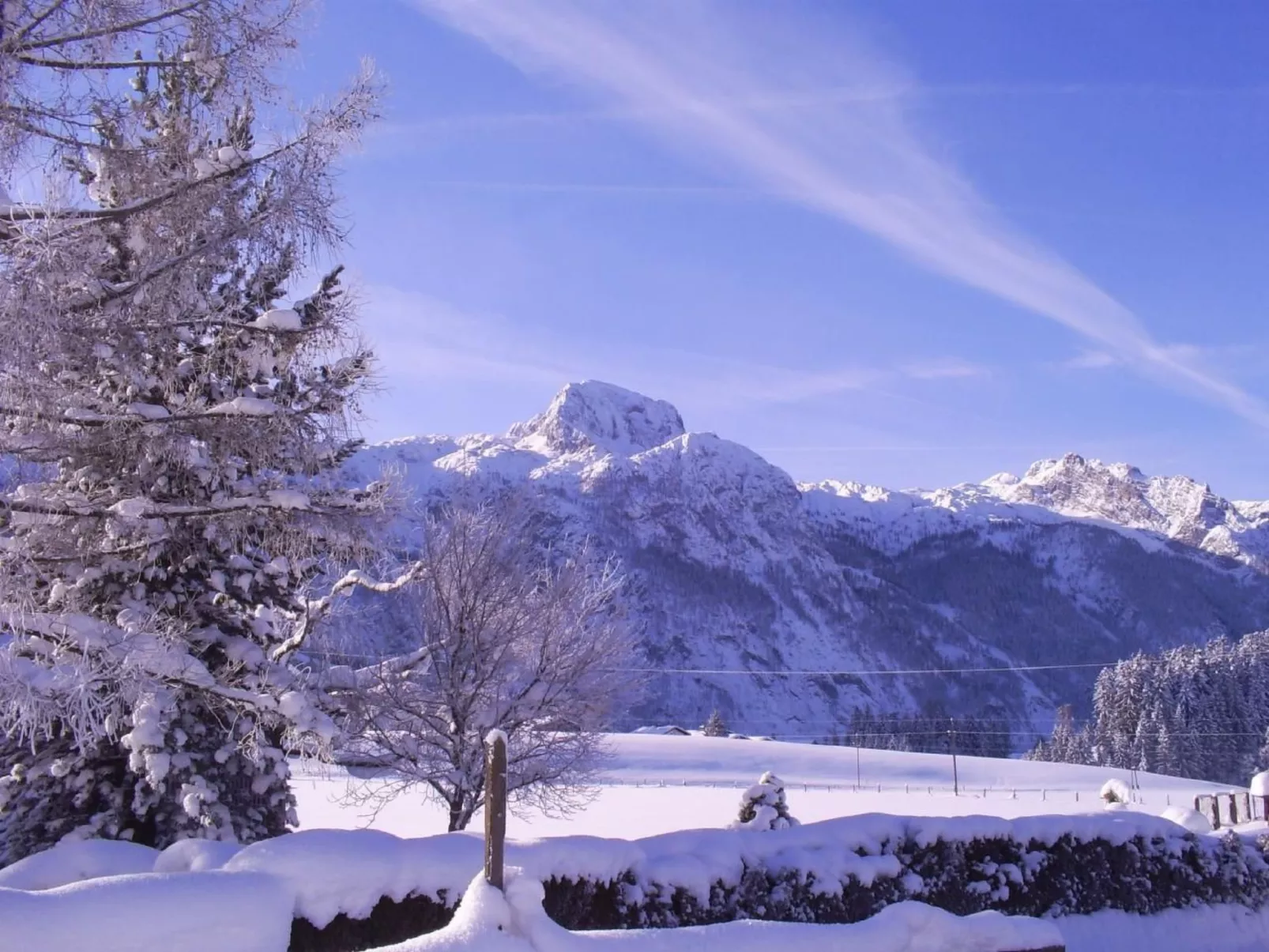 Gsenger Natur in Abtenau