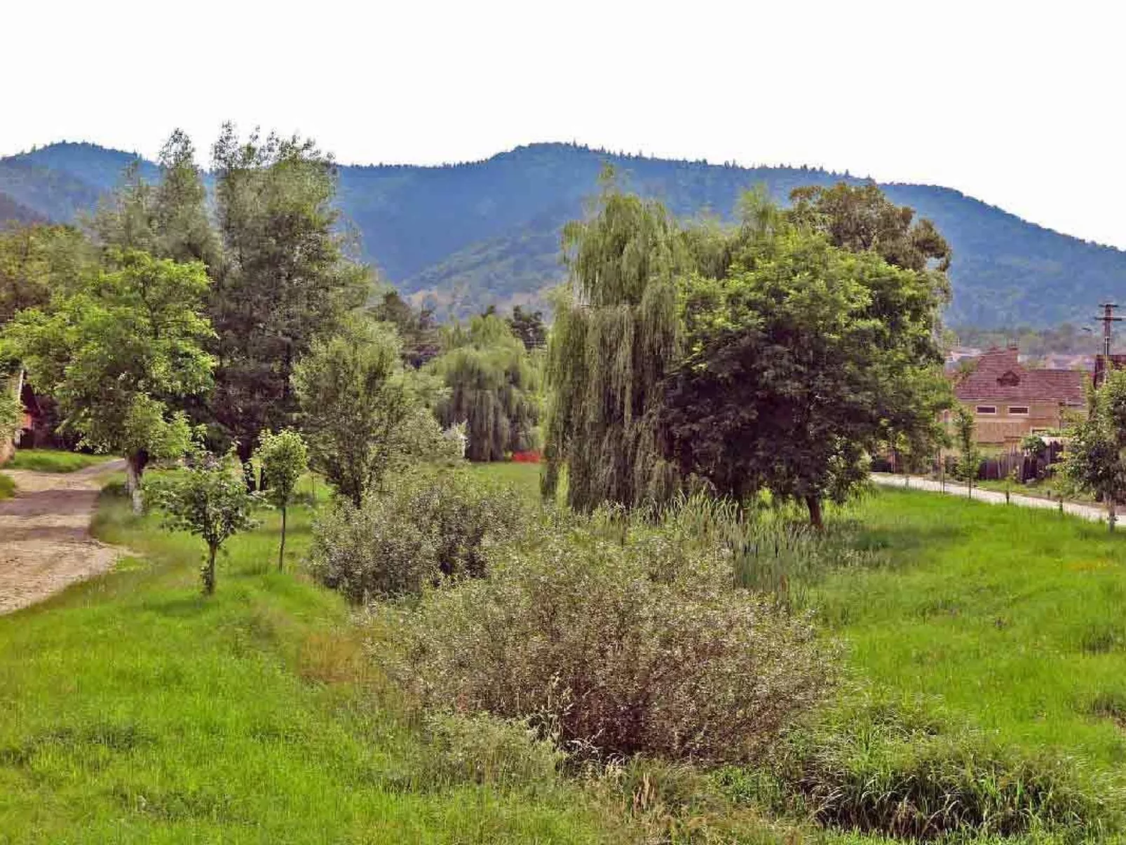 Casa Lopo - renovierter Bauernhof im Hirtendorf-Buiten