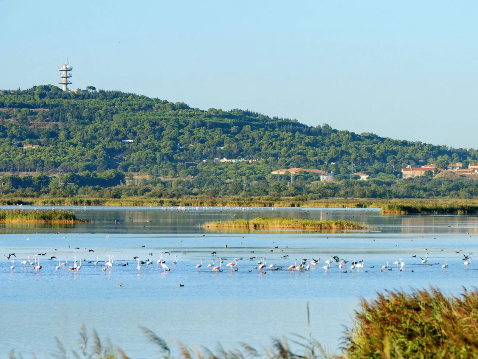 Mobilheim "Les Dunes" mit Blick auf das Wasser