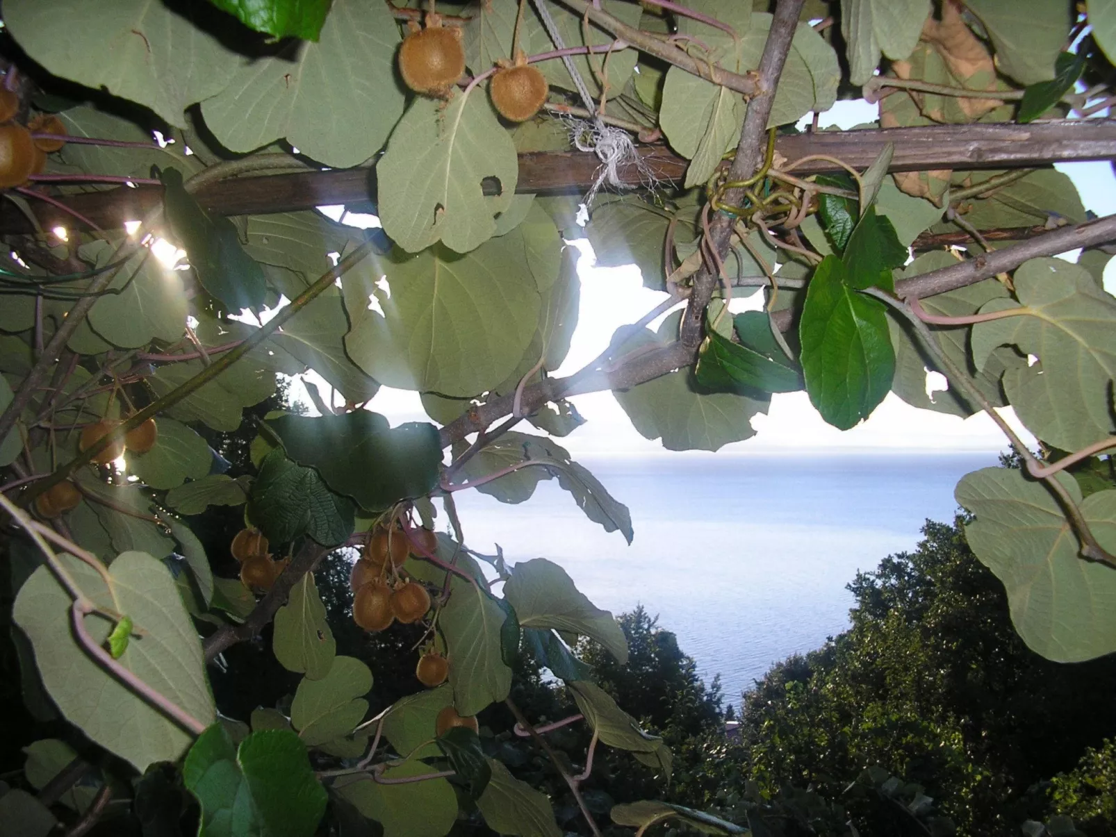 Mit Balkon und Terrasse