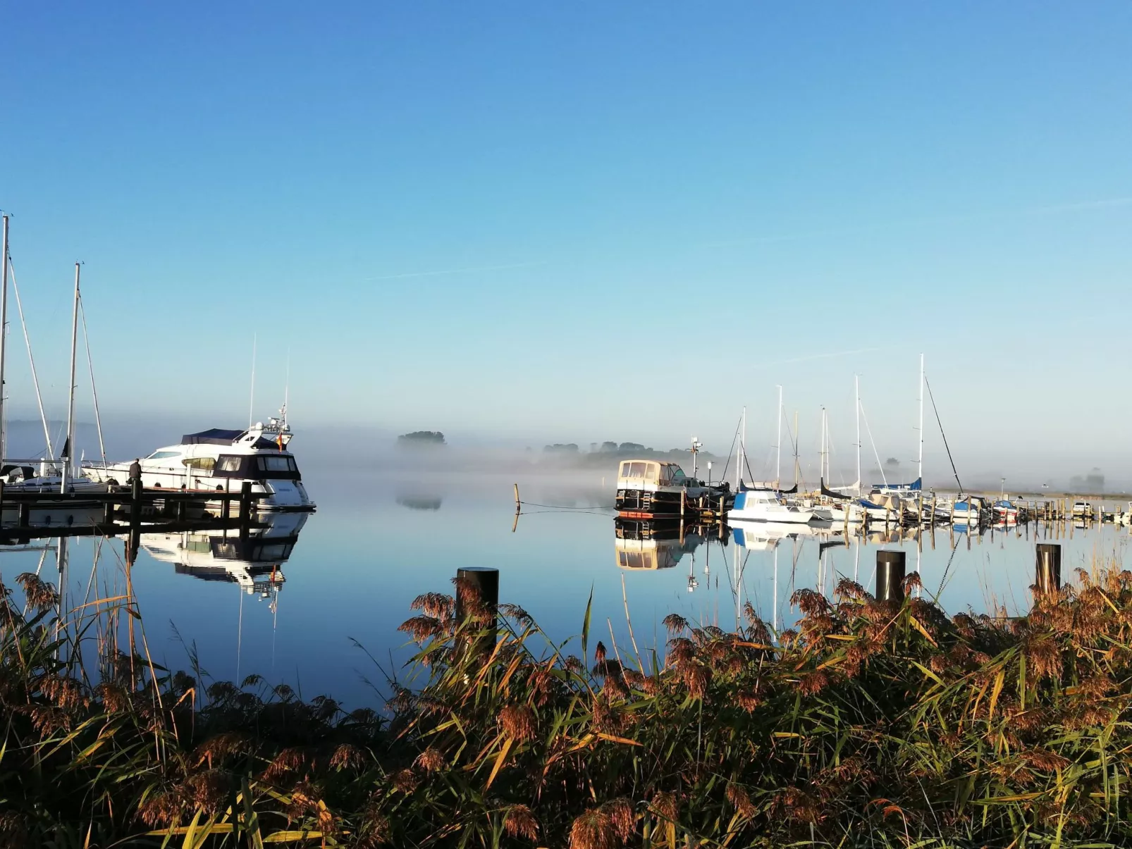 Wohnung mit Balkon in Sellin-Image-tags.info