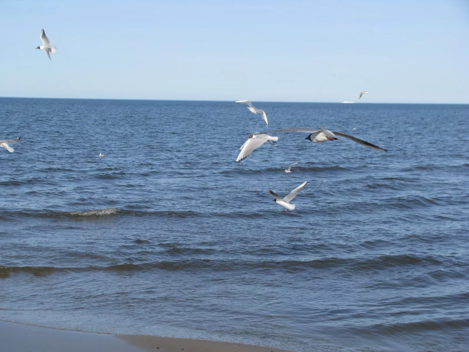Wunderschönes Ferienhaus in Zinnowitz