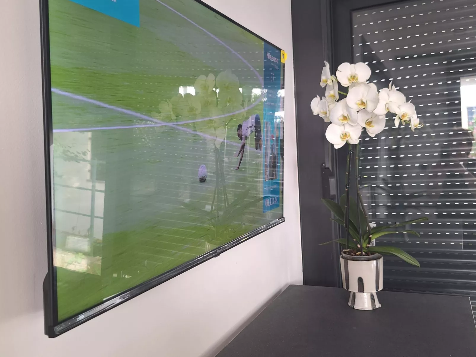 Studio für zwei Personen im Erdgeschoss-Binnen