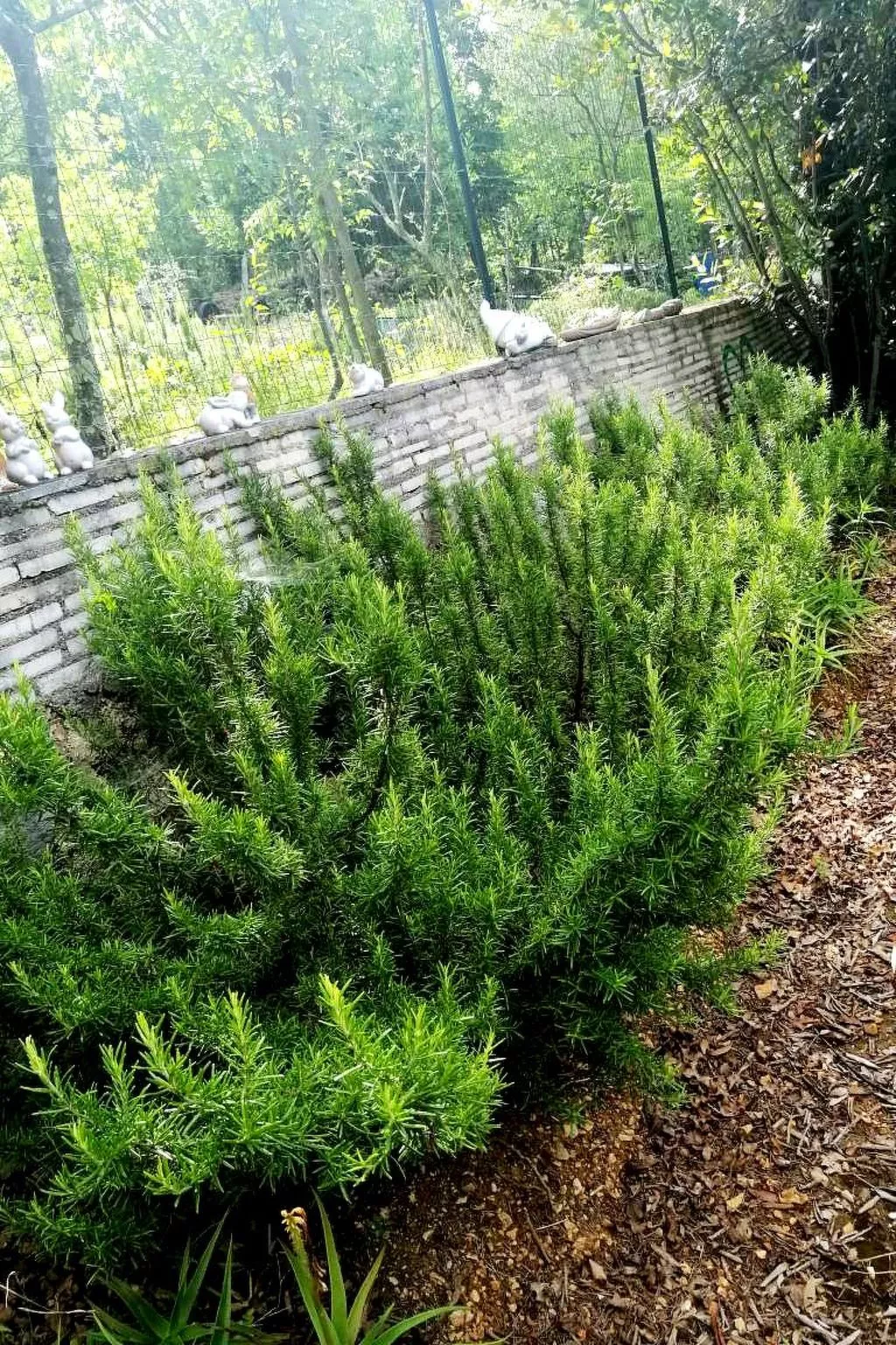 Haus La Dostana-Buiten