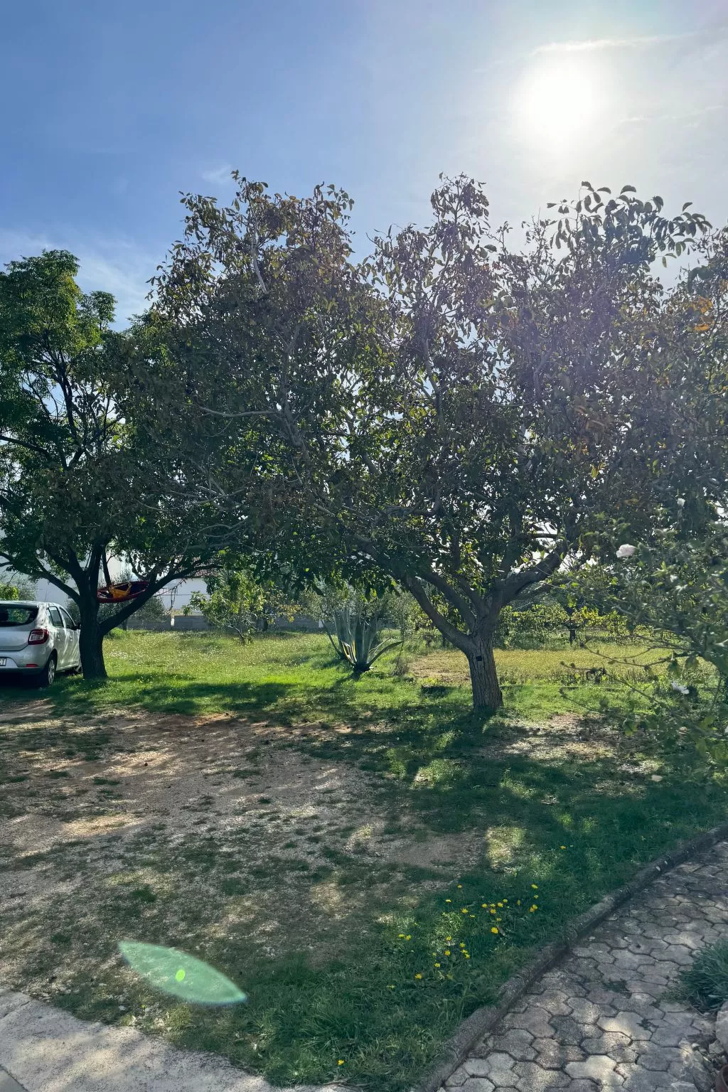 Studio-Wohnung in Vrsi - Agentur TA Leut