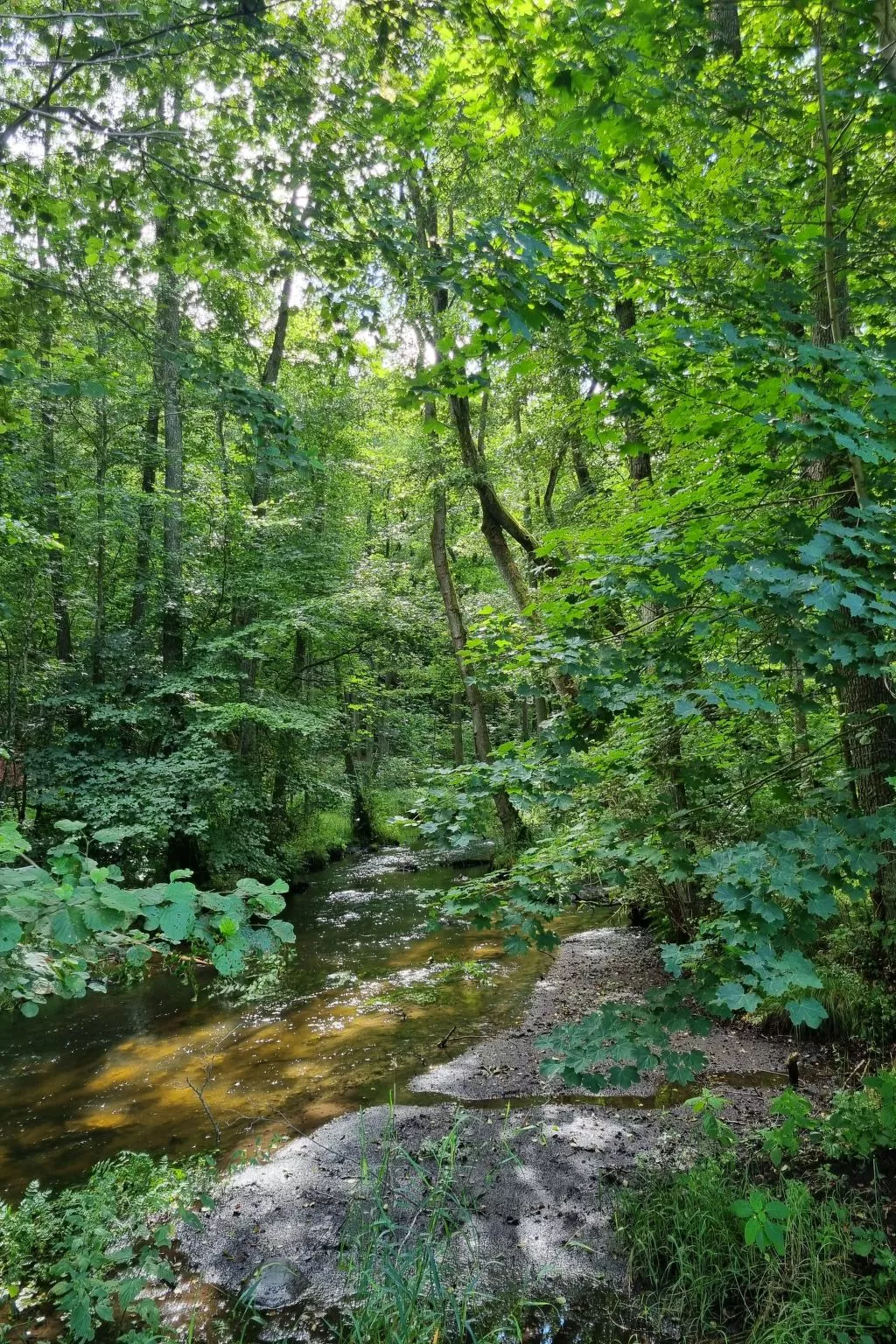 Lublewo21 Ferienhäuser - Buiten