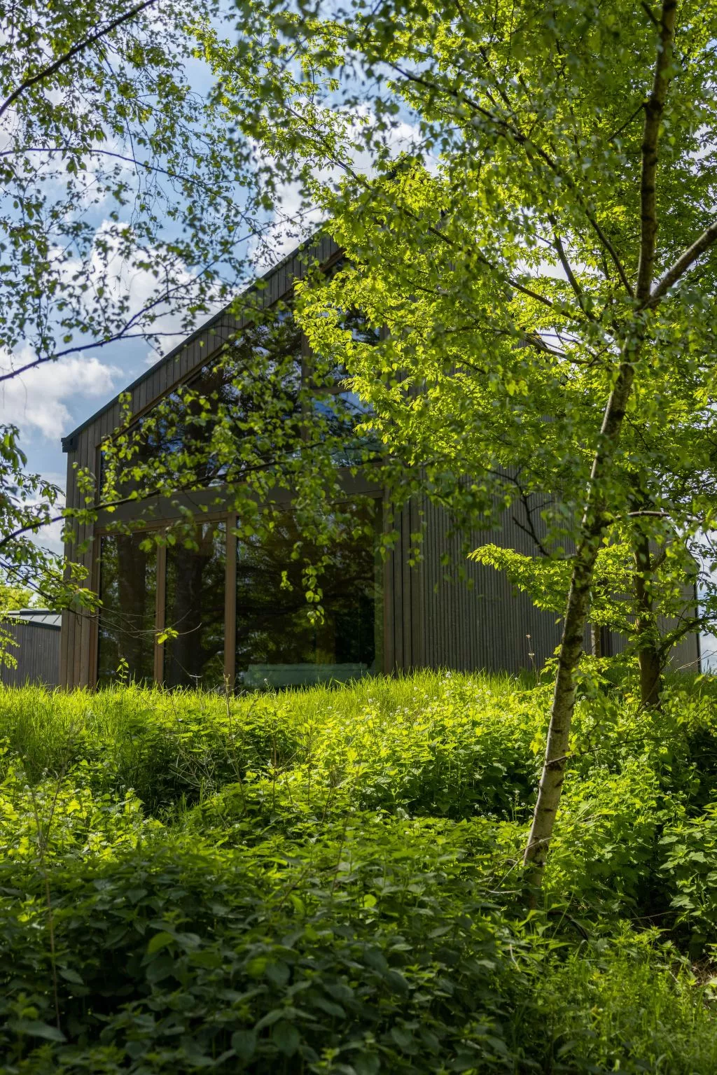 (VII) Cabin Cozy-Buiten