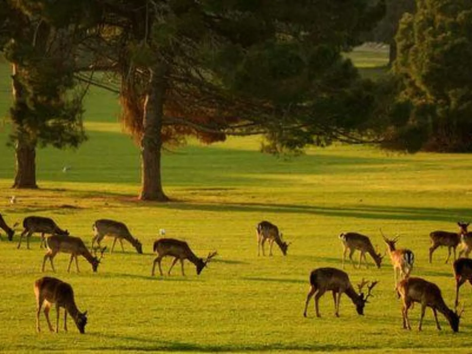 Hacienda Matea - Oase der Romantik in Strandnähe