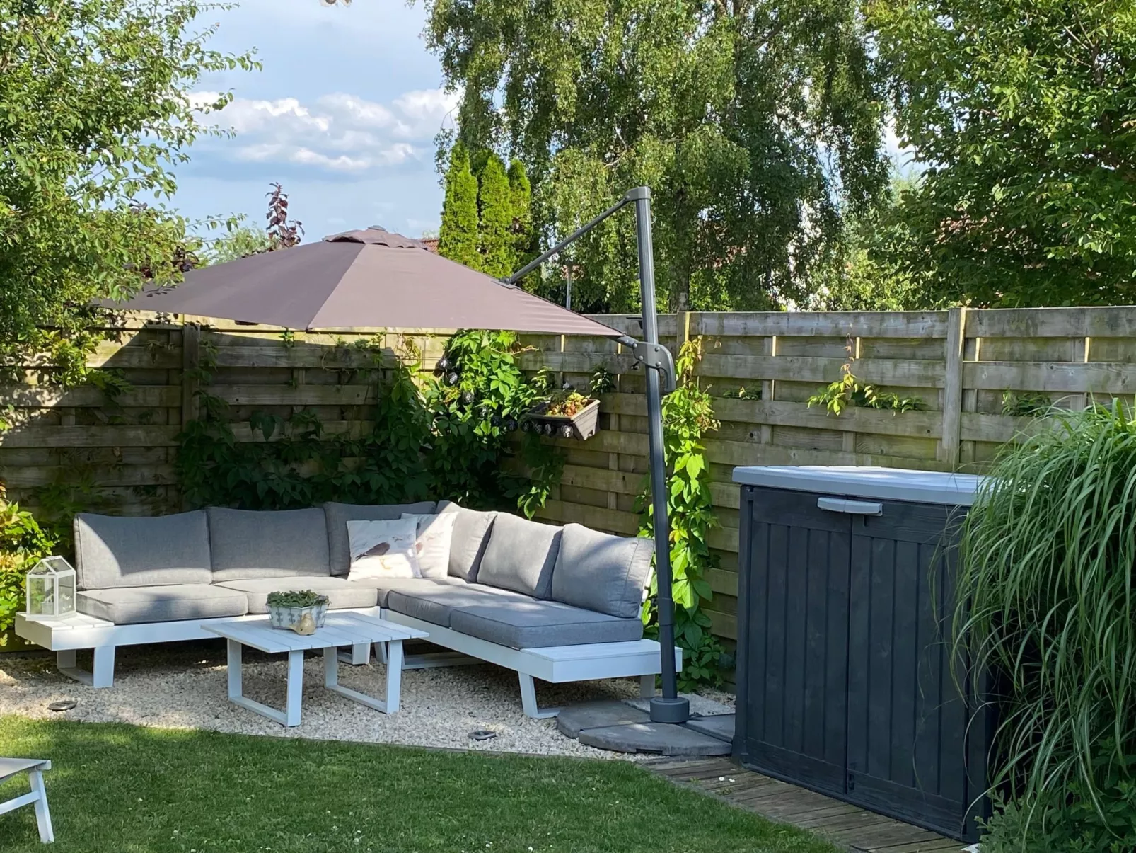 Zonneweelde bei Dünen und Wald-Binnen