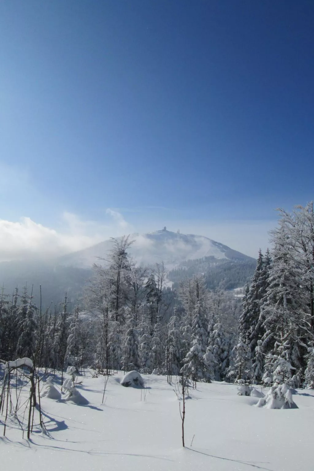 In Bayerisch Eisenstein mit Garten