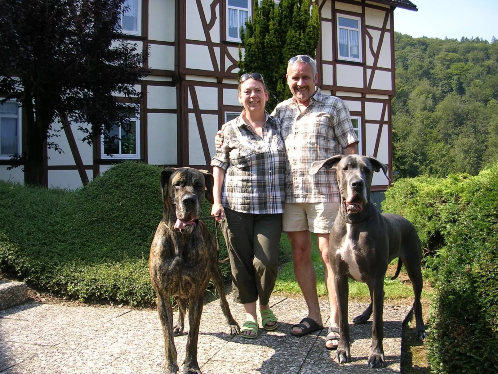 Der Falkenhorst-Buiten