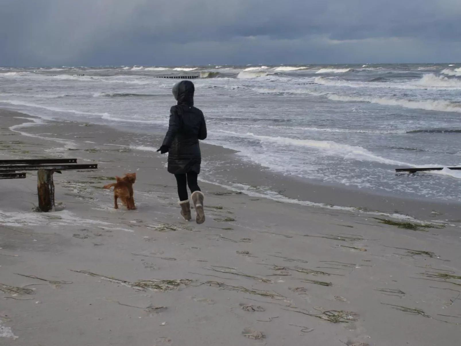 Fünfjahreszeiten in Bodstedt