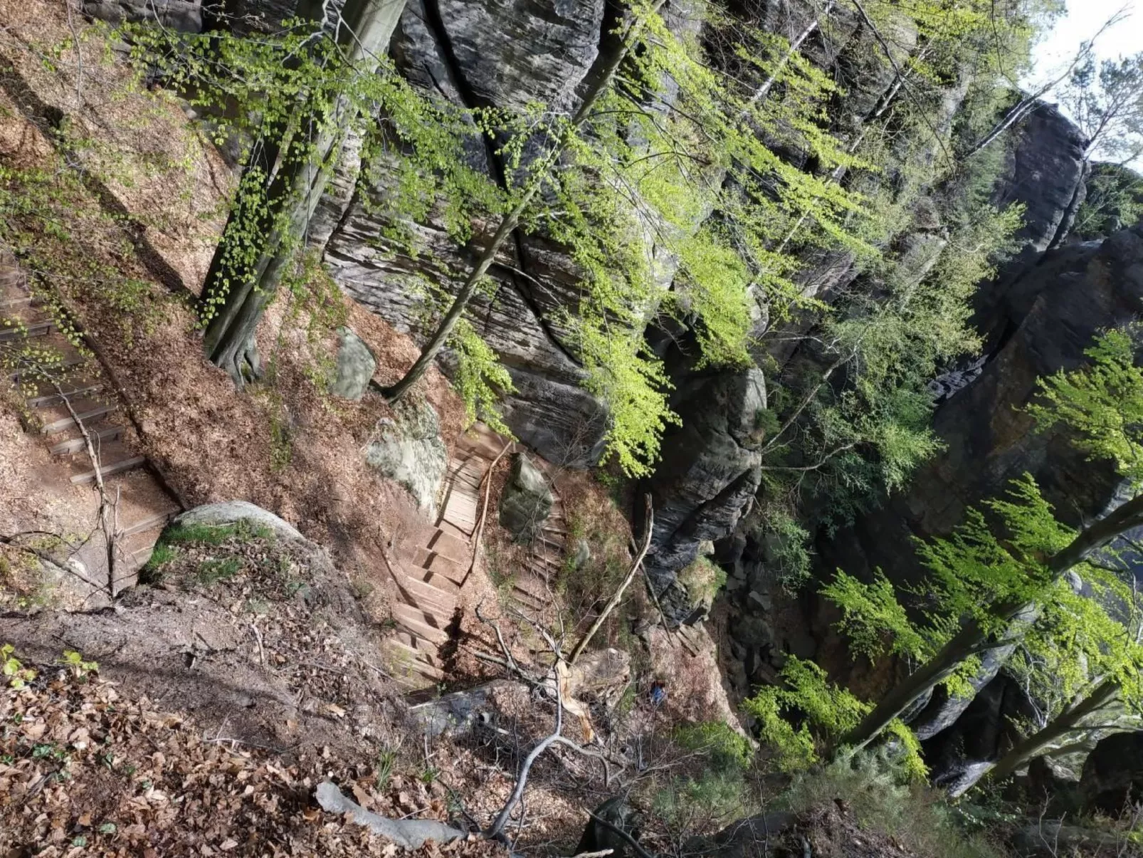 In Pirna mit Schöner Terrasse