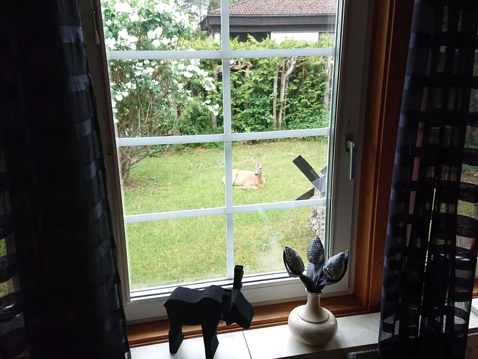 Familienfreundliches Ferienhaus mit großem Garten-Buiten