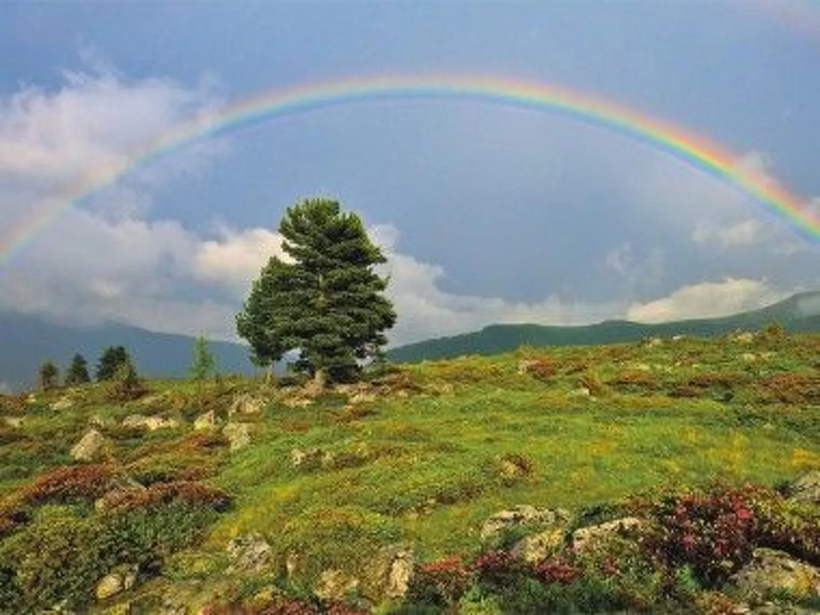 Martina top 2-Buiten