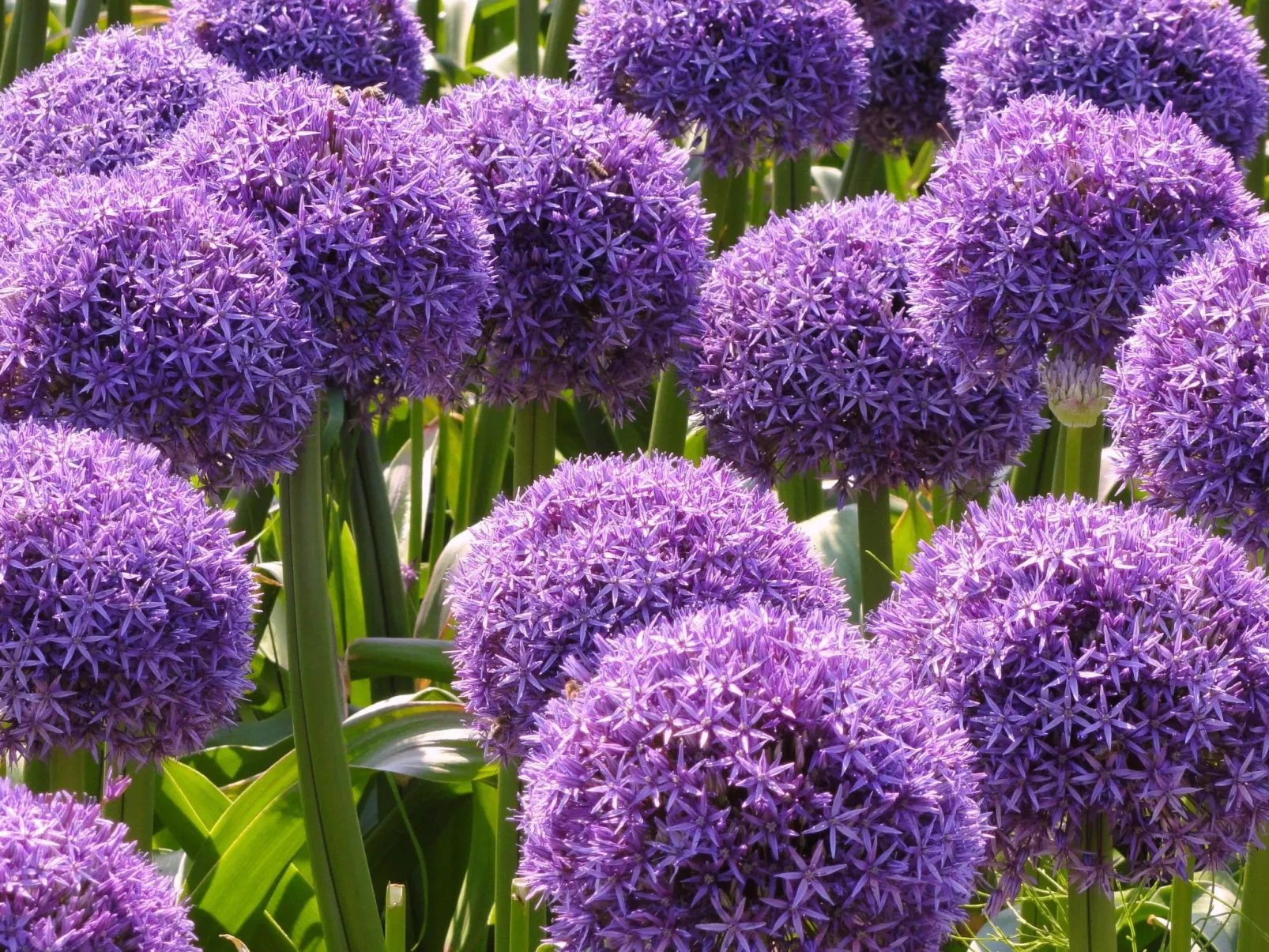 Sommerhaus in ruhiger Lage mit privatem Garten und Terrasse