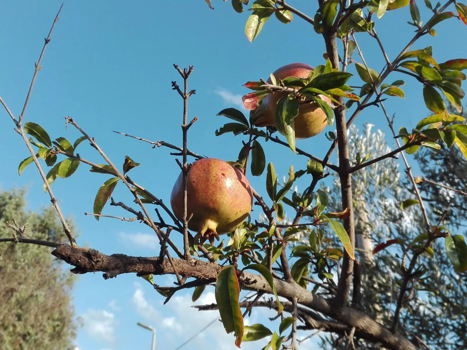 Wohnung mit Balkon und Meerblick