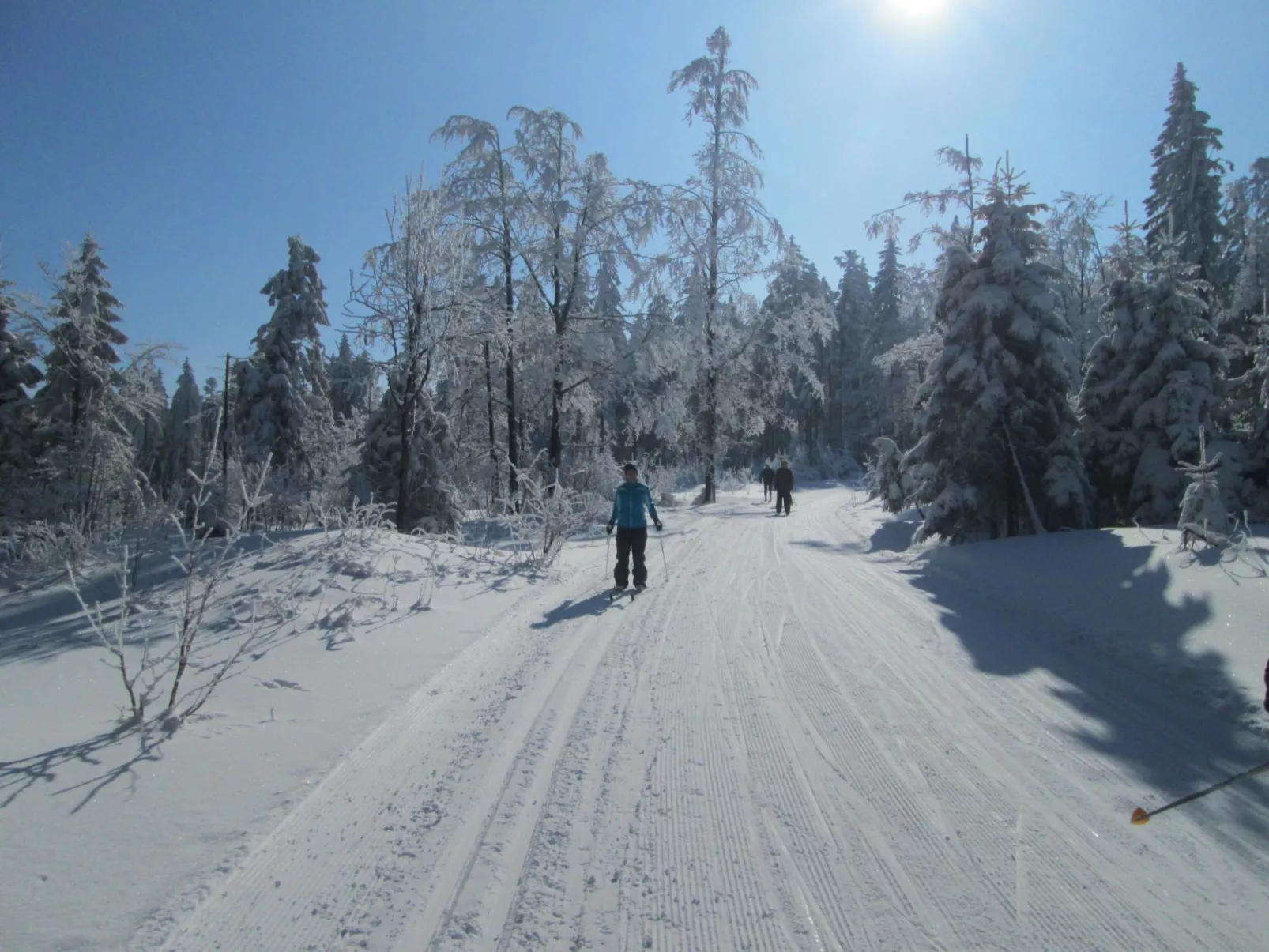 Wiesengrund in Bayerisch Eisenstein
