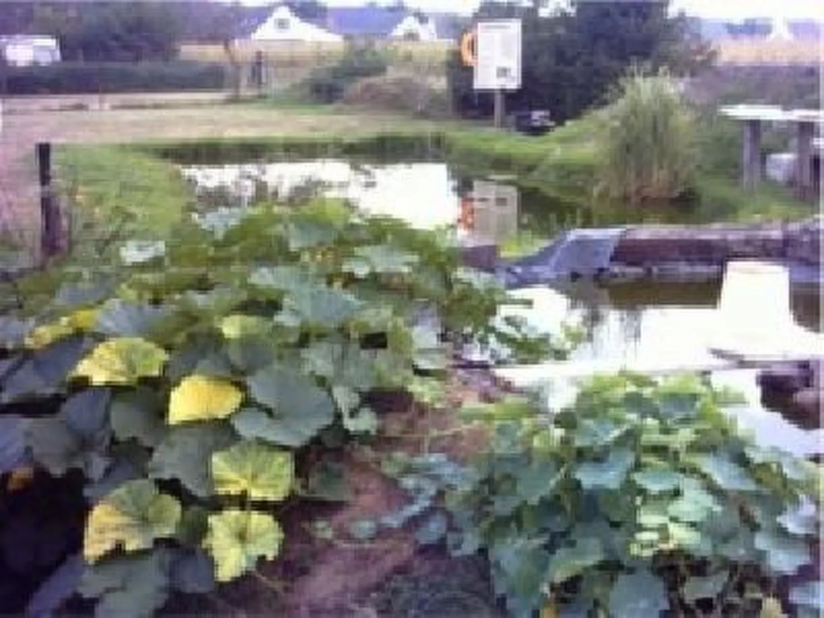 Appartement in Meiersberg mit Grill