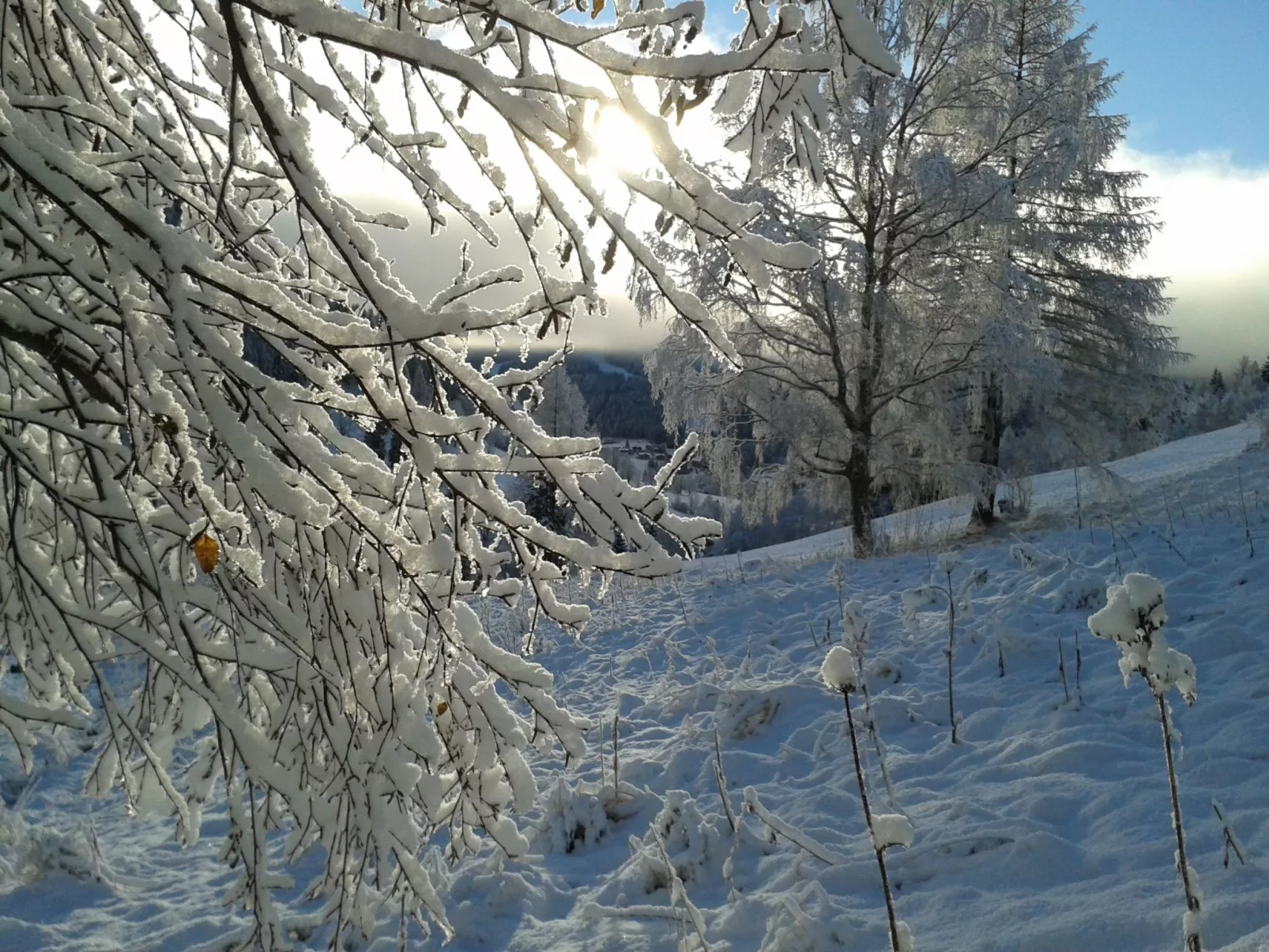 Freistehendes Ferienhaus in idyllischer Lage-Image-tags.info