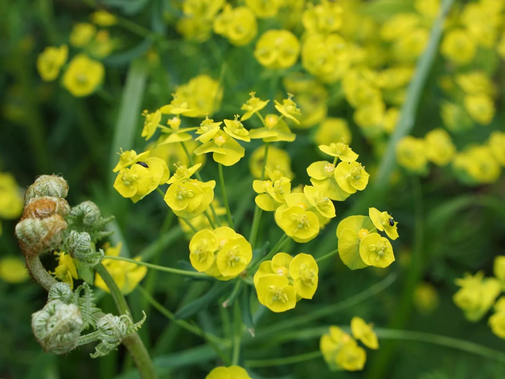 Osttirol-Image-tags.info