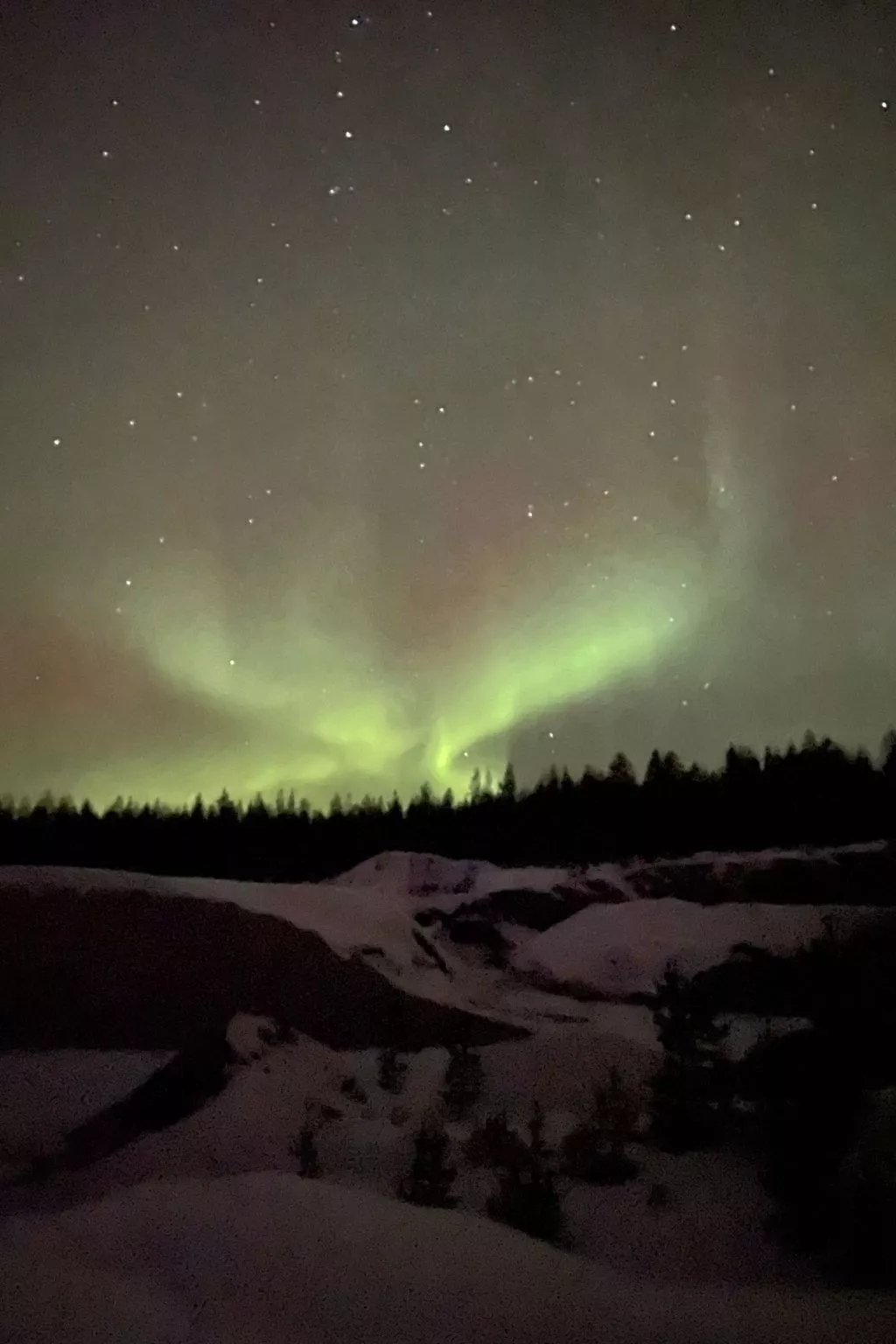 Gemütliches Ferienhaus am Polarkreis-Buiten
