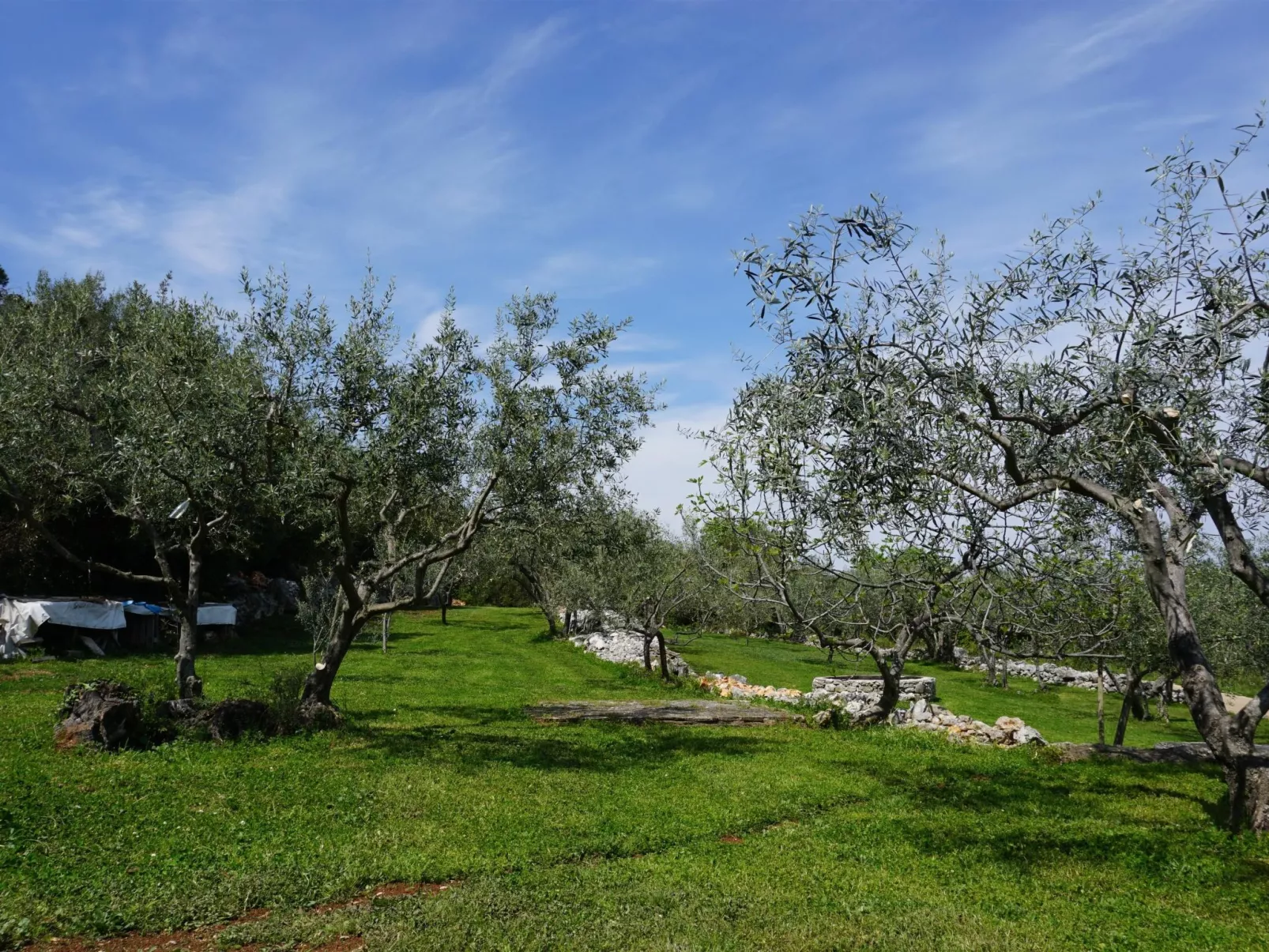 "Istria" mit eigenem Pool-Buiten