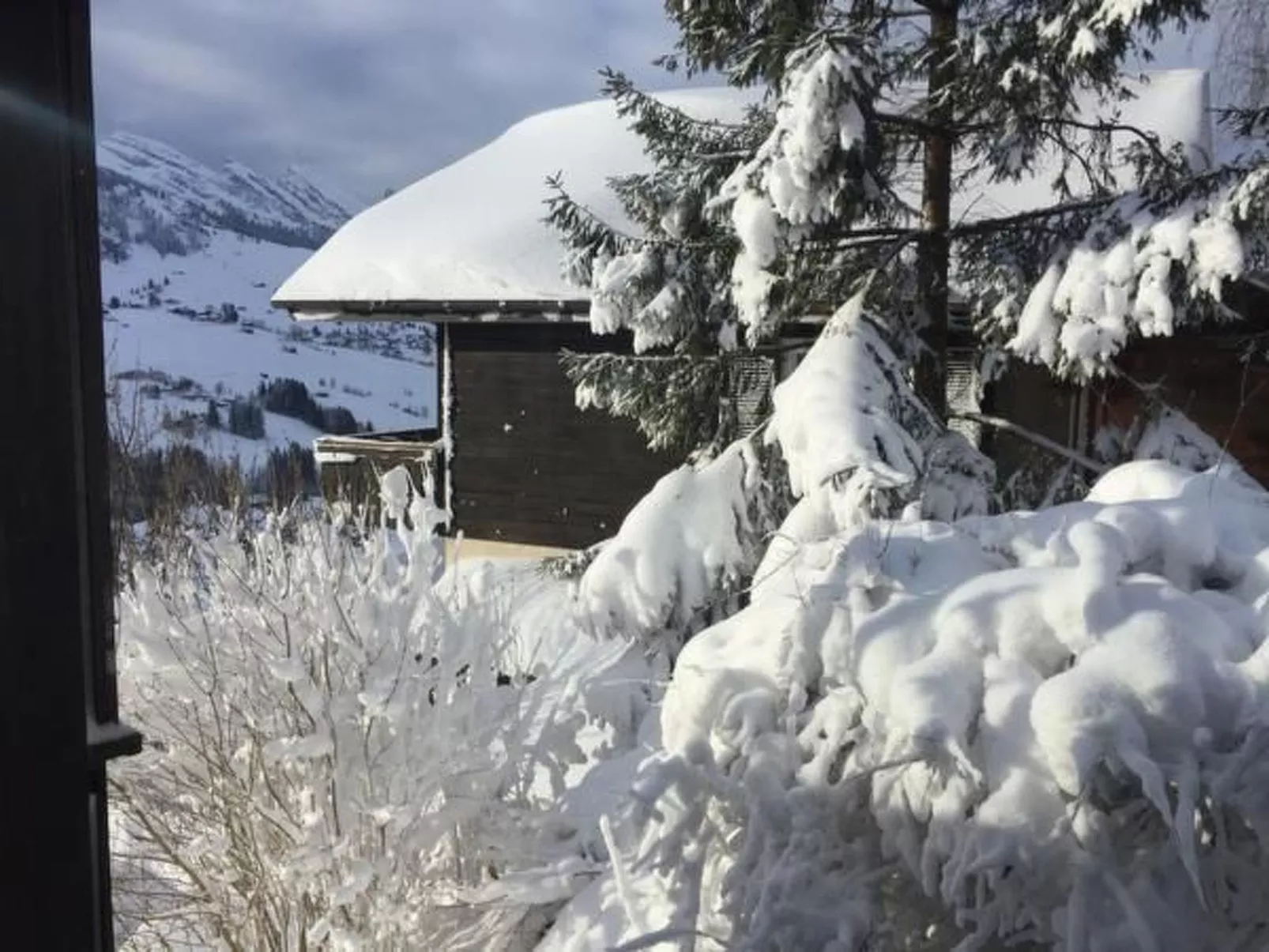 Toggi-Image-tags.info