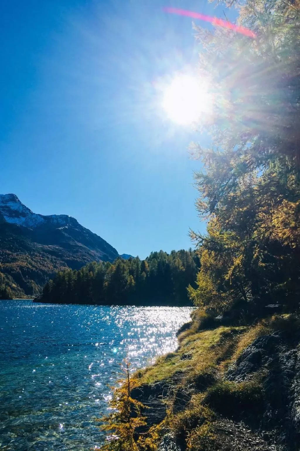 Maisonette Alpenrose