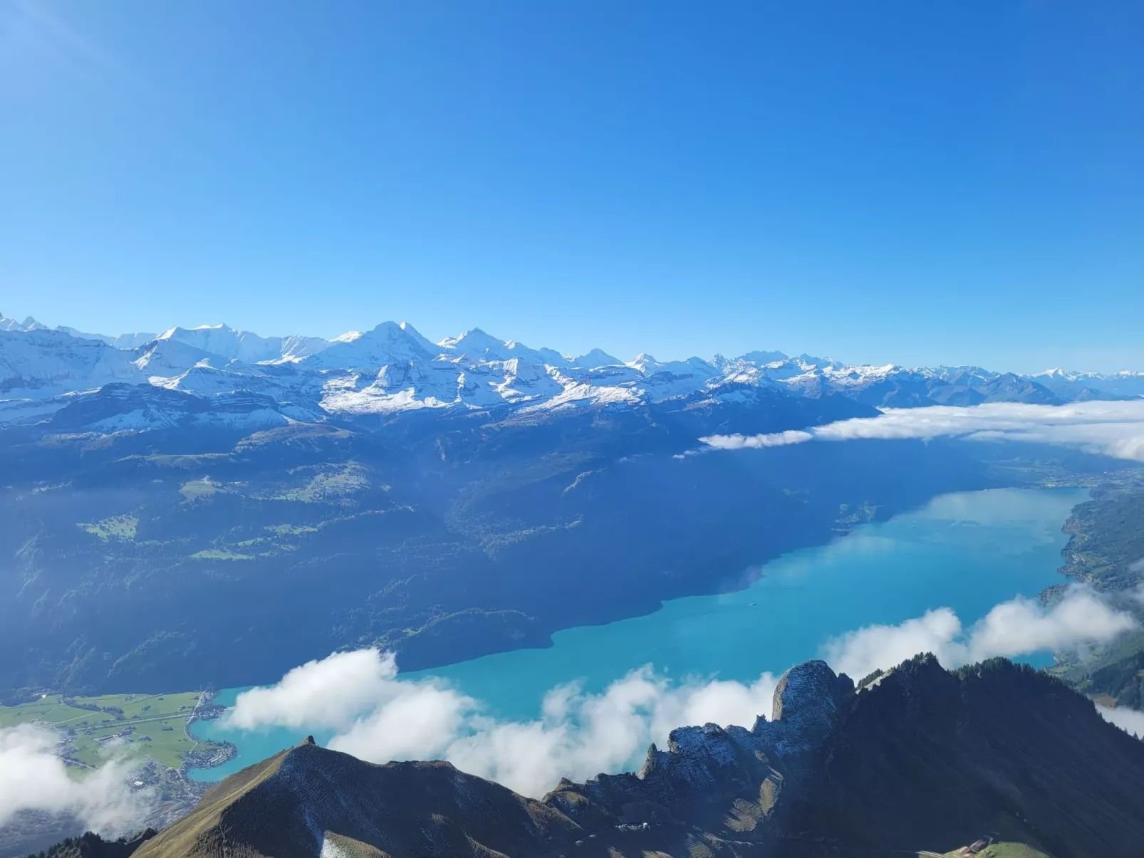 Kolibri Parterre-Buiten
