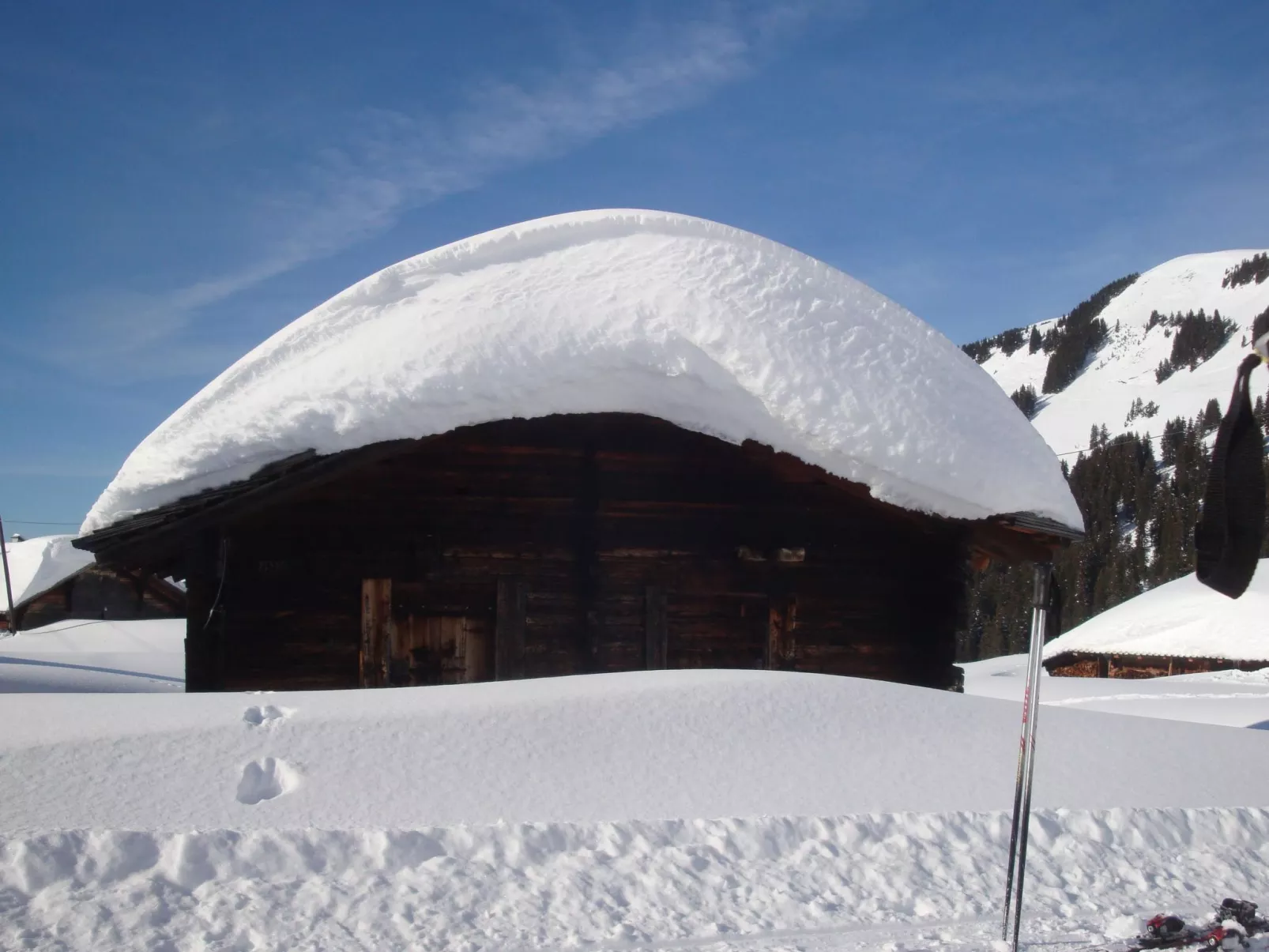 Schaad 4-Bett-Wohnung