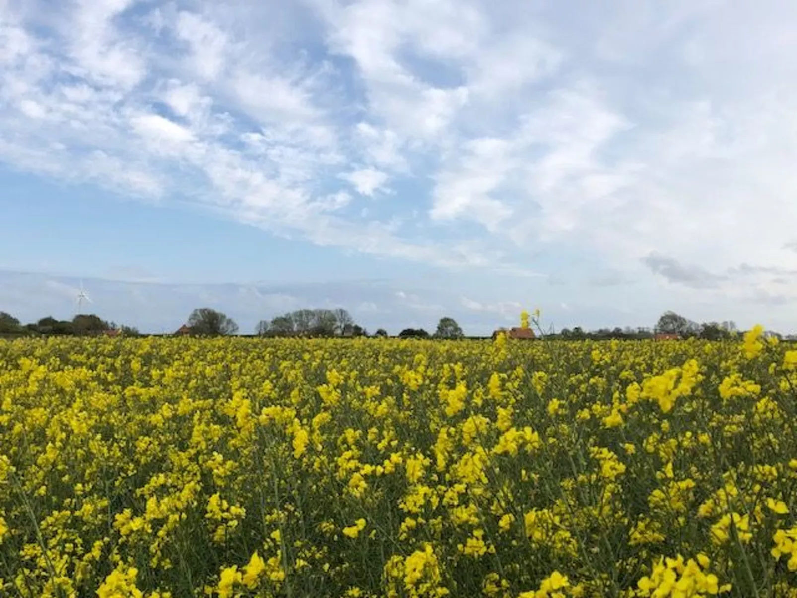 Mit Südwestterrasse mit Stellplatz-Image-tags.info