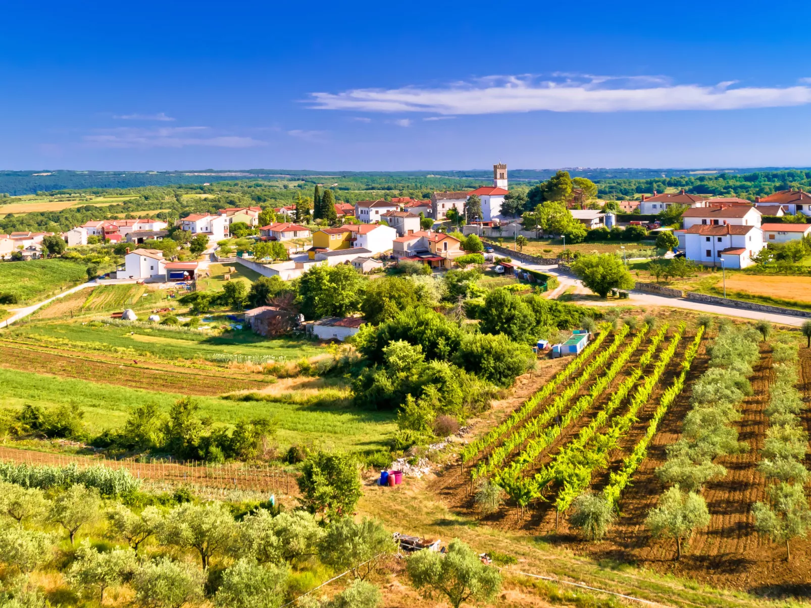 Schöne Ferienwohnung Runko-Omgeving