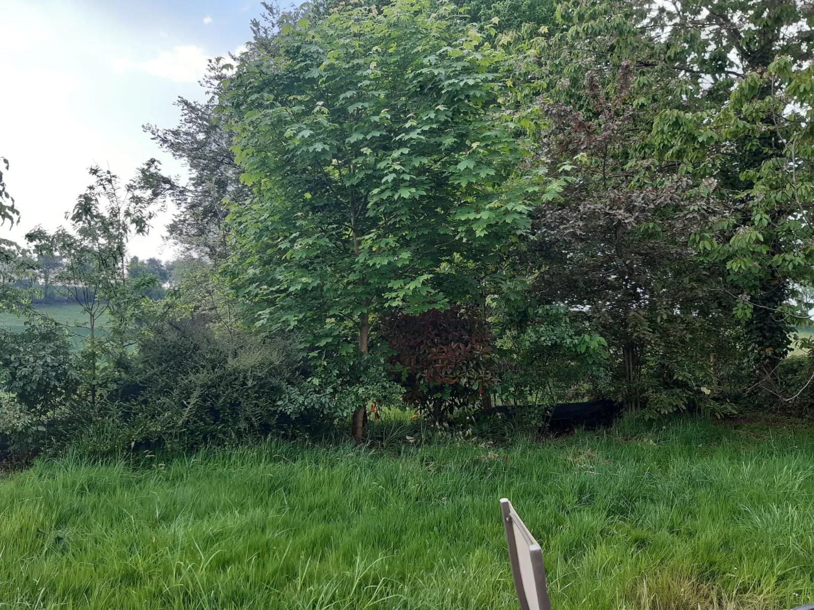 Finca "Motje" mit Aussicht-Buiten