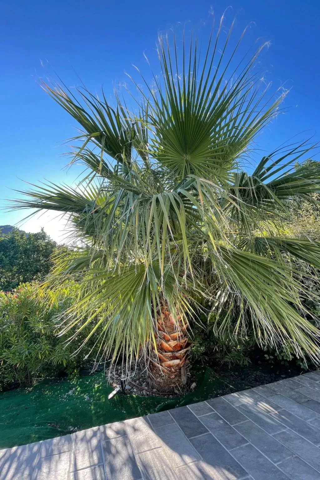 Villa St. Julian-Buiten