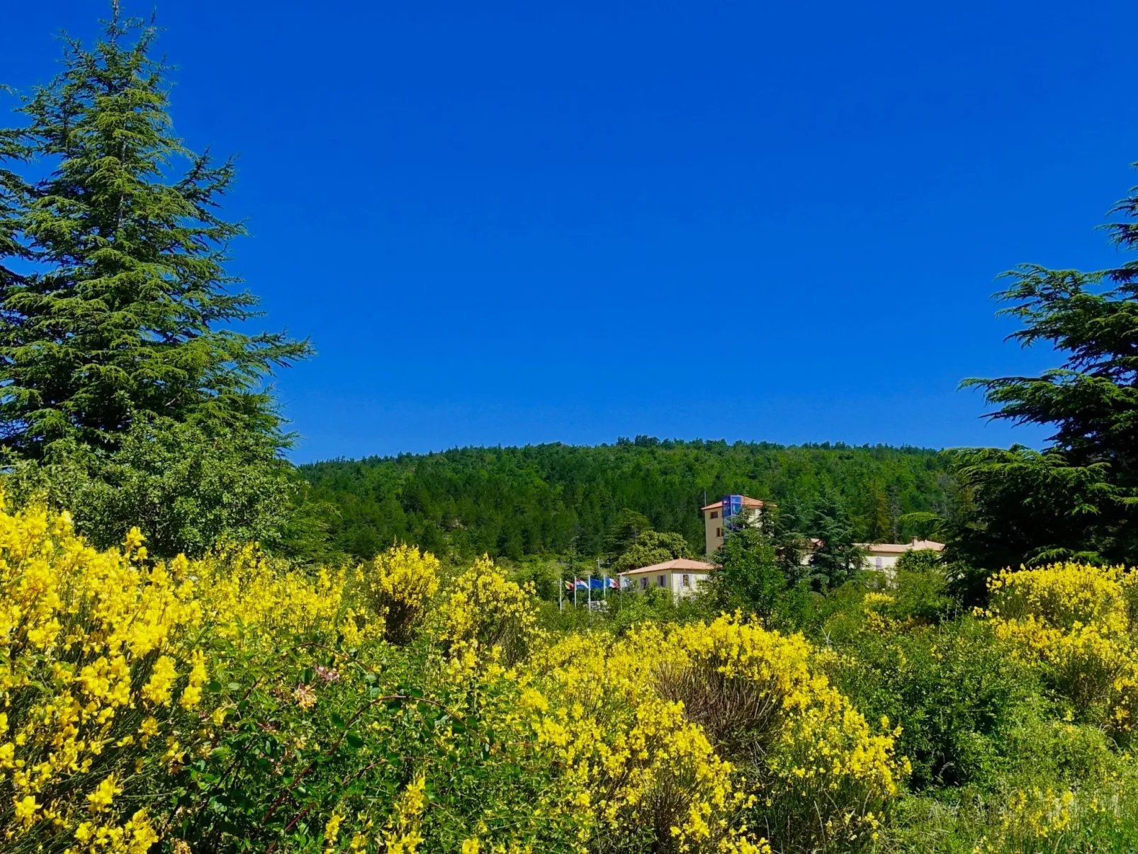 Genießen Sie die Ruhe und den Frieden der Provence