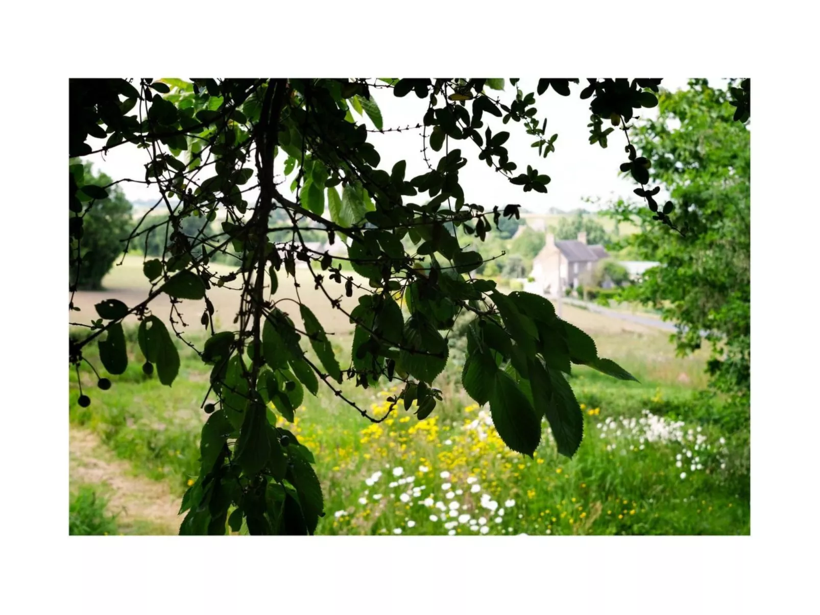 Domäne mit Terrasse