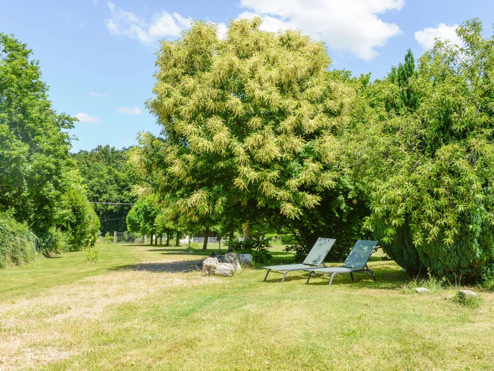 Der Ruf der freien Zone-Buiten