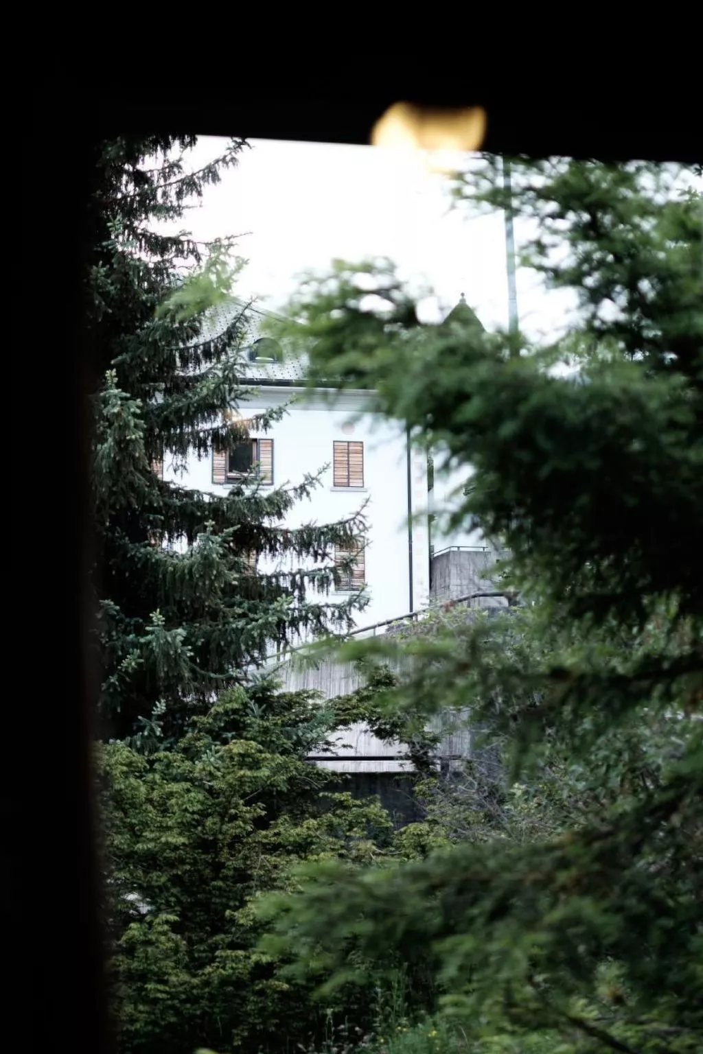 La Stalla-Image-tags.info