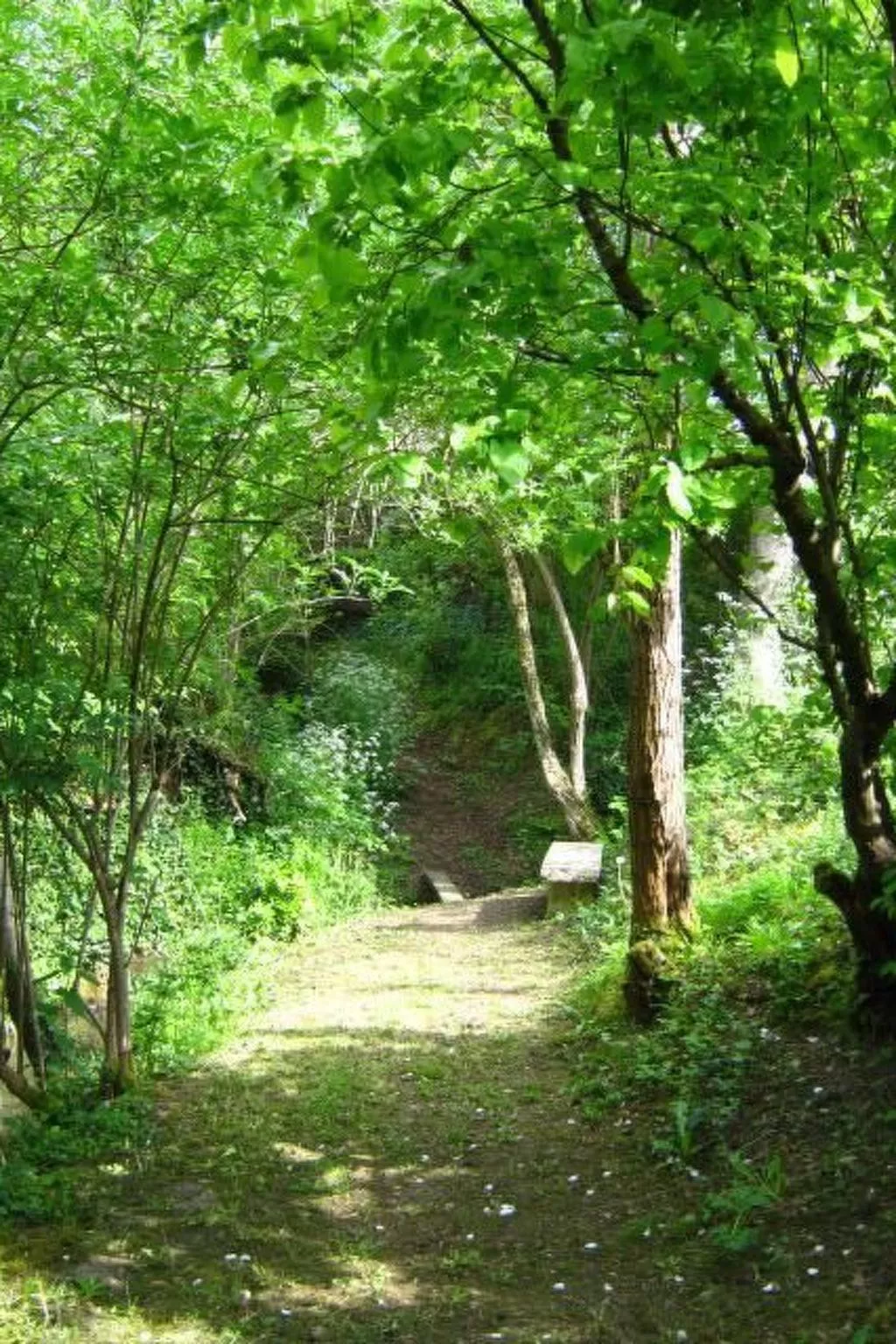 "Gite de Guillemat"-Buiten