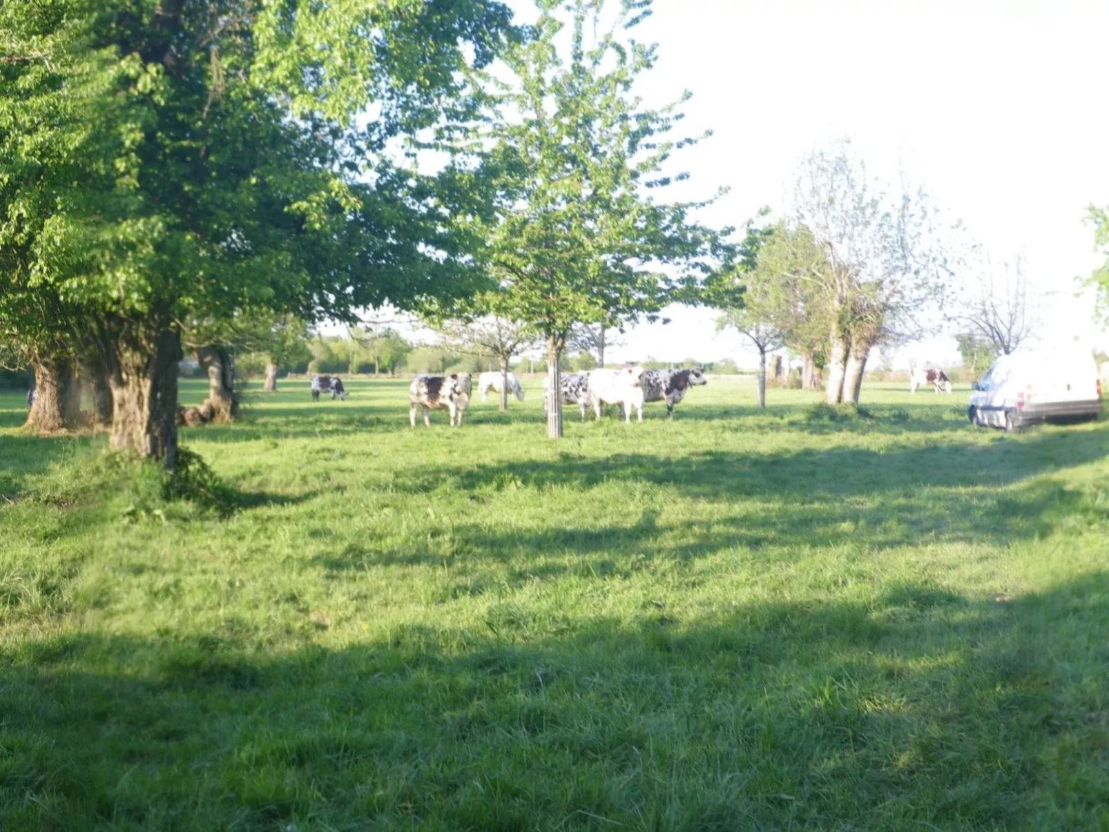 "La Petite Cauvinière"