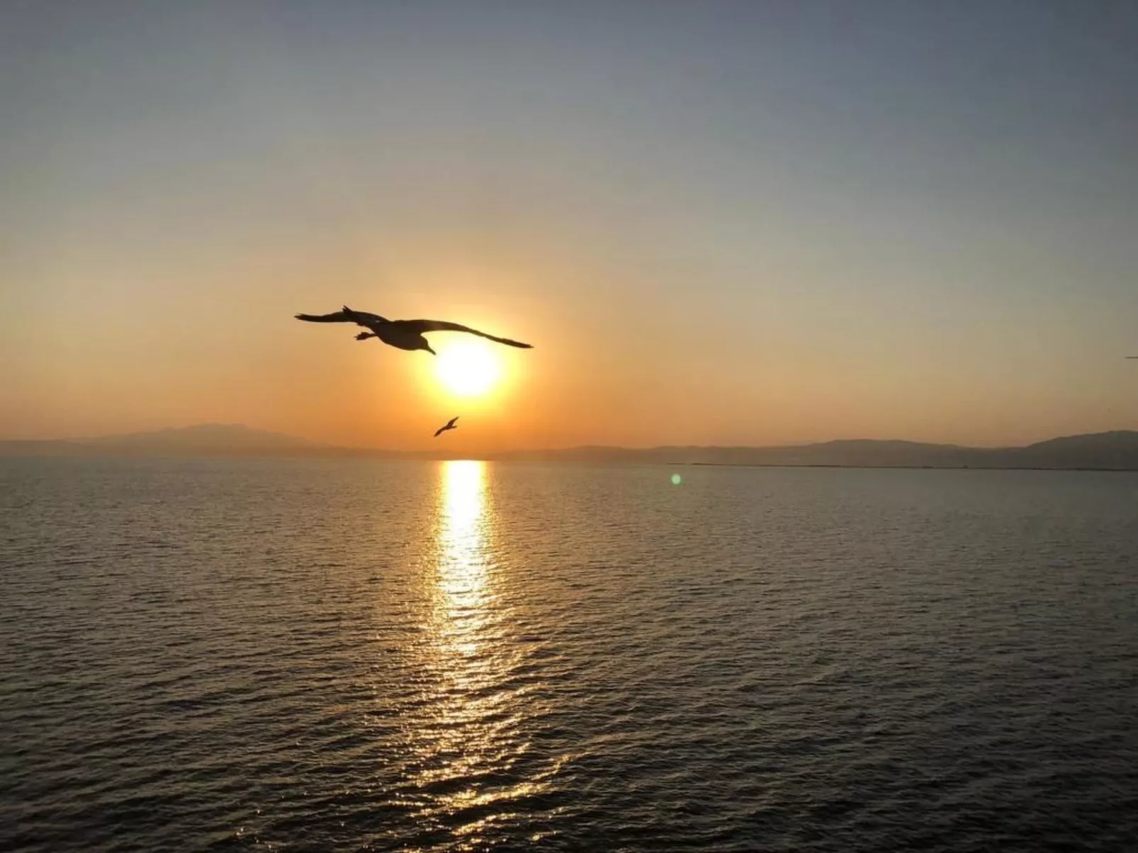 Olivia Sea Cottage-Buiten